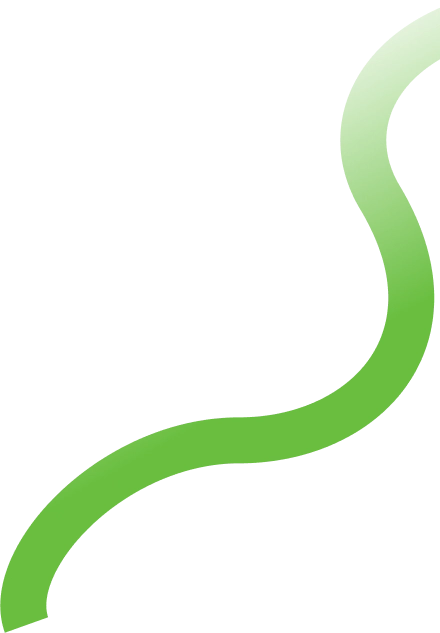 Vector